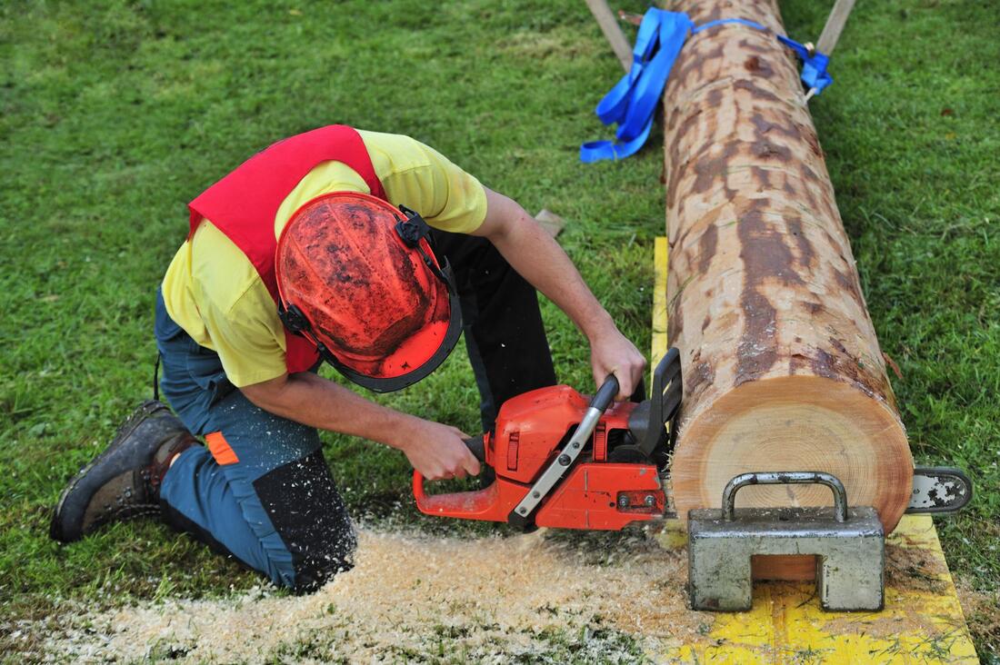 man cutting the tree log
